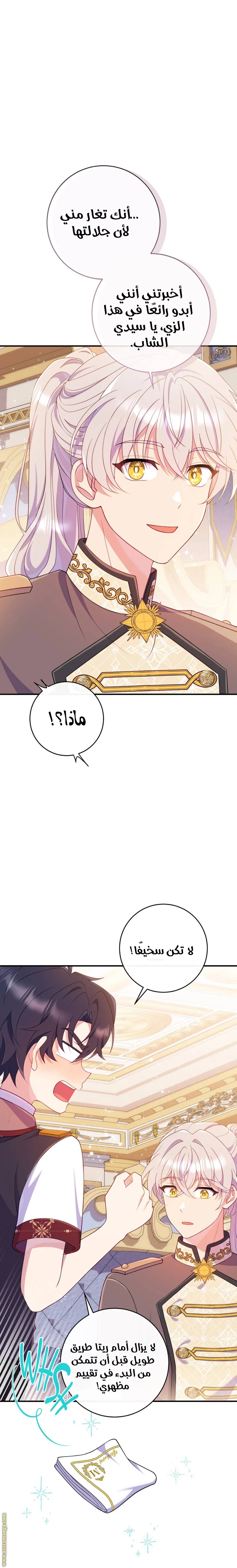 الصفحة 29