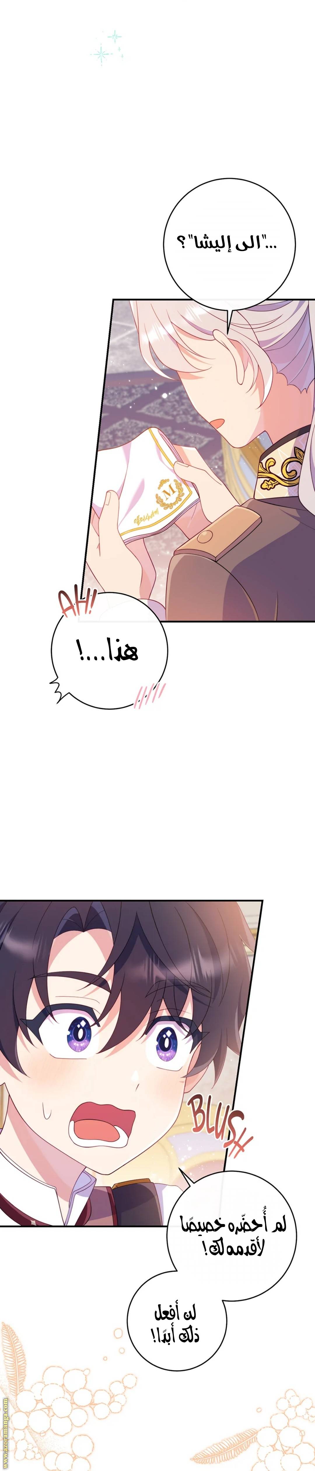 الصفحة 30