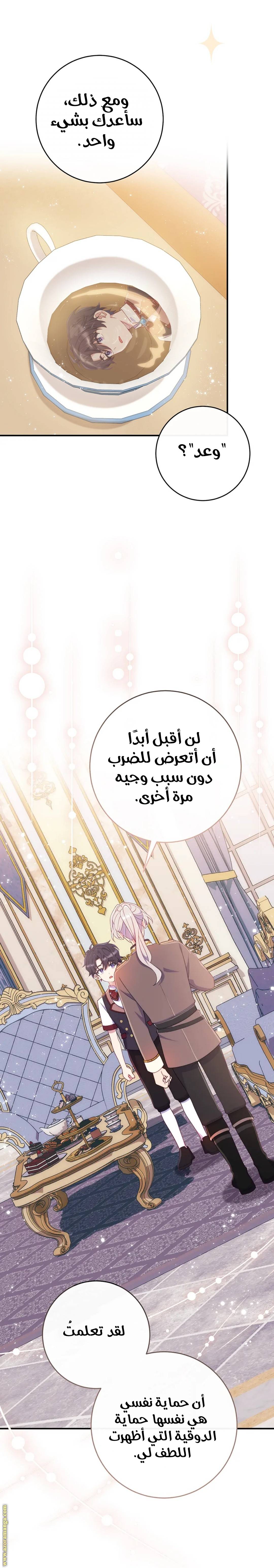 الصفحة 33
