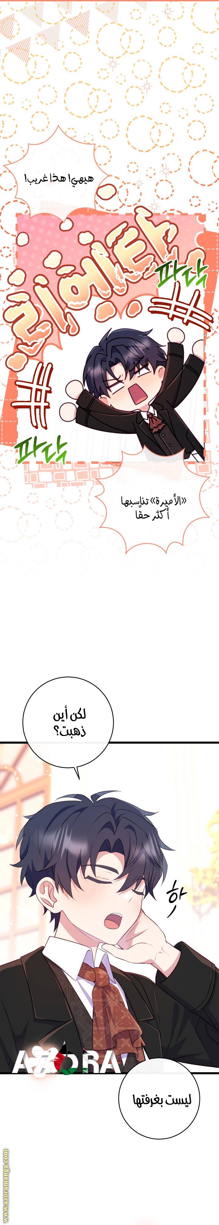 الصفحة 20