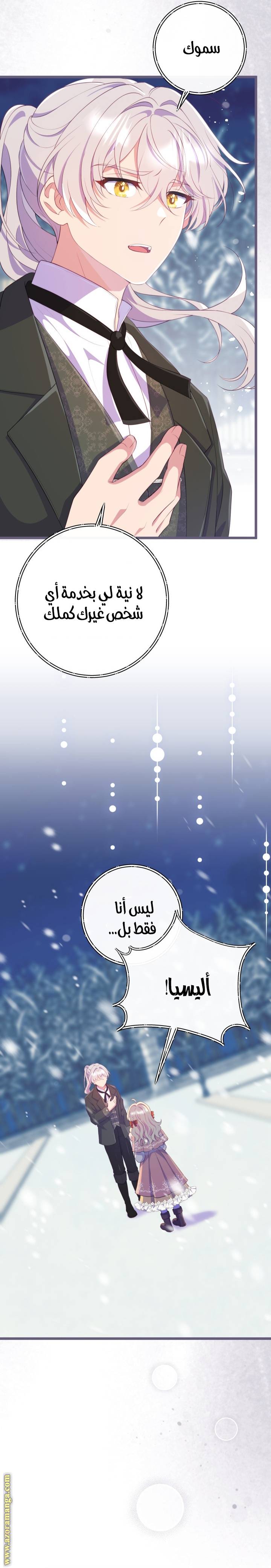 الصفحة 25