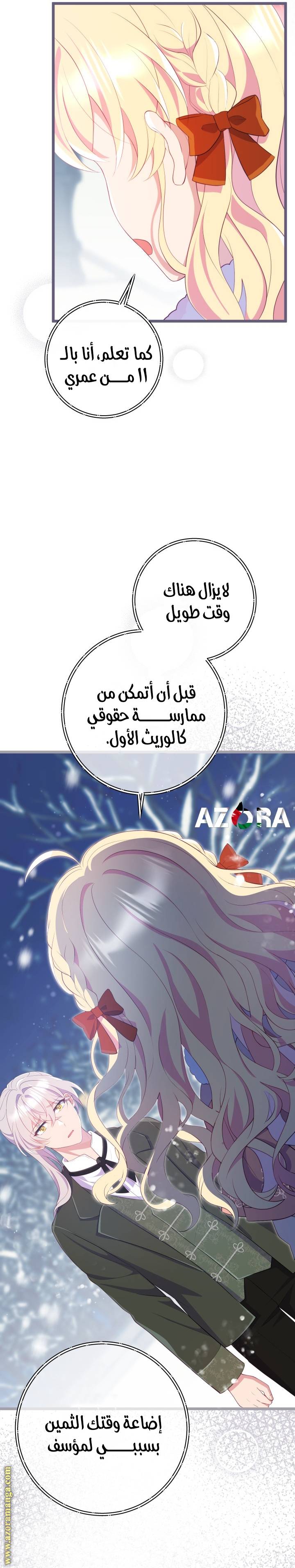 الصفحة 26