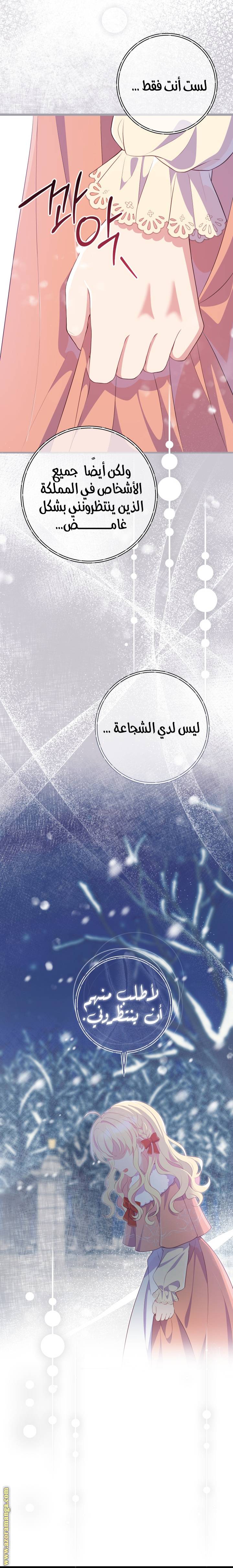 الصفحة 27