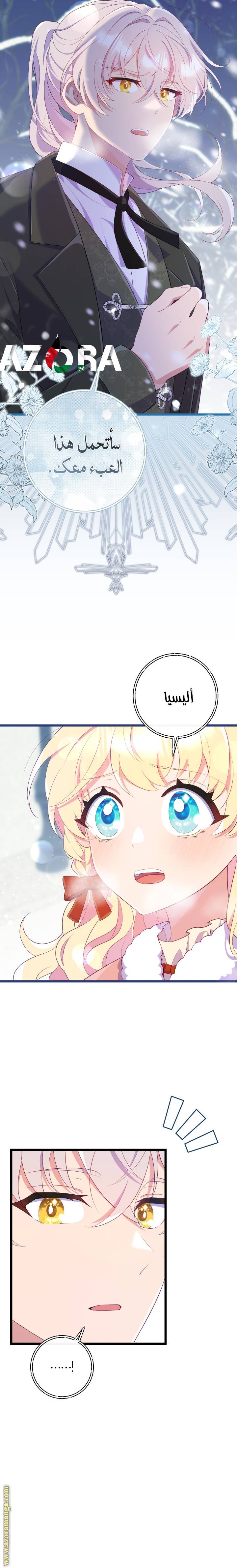 الصفحة 29