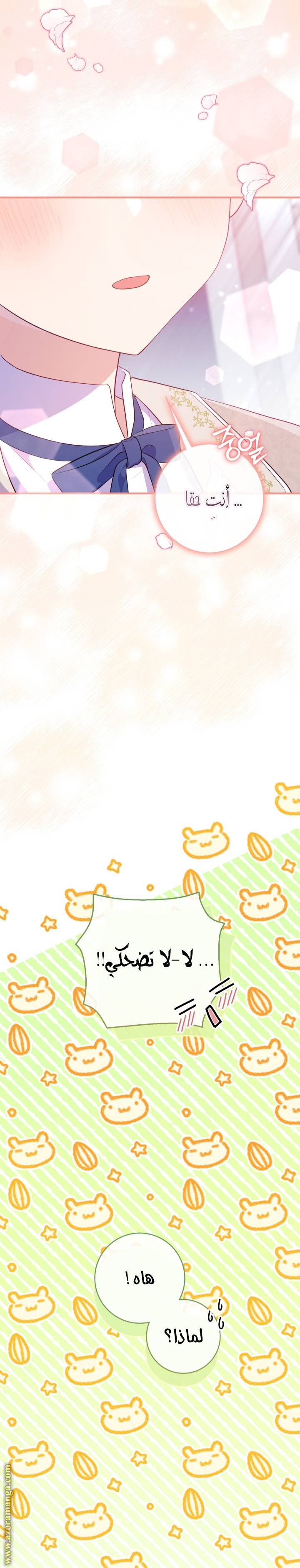 الصفحة 26