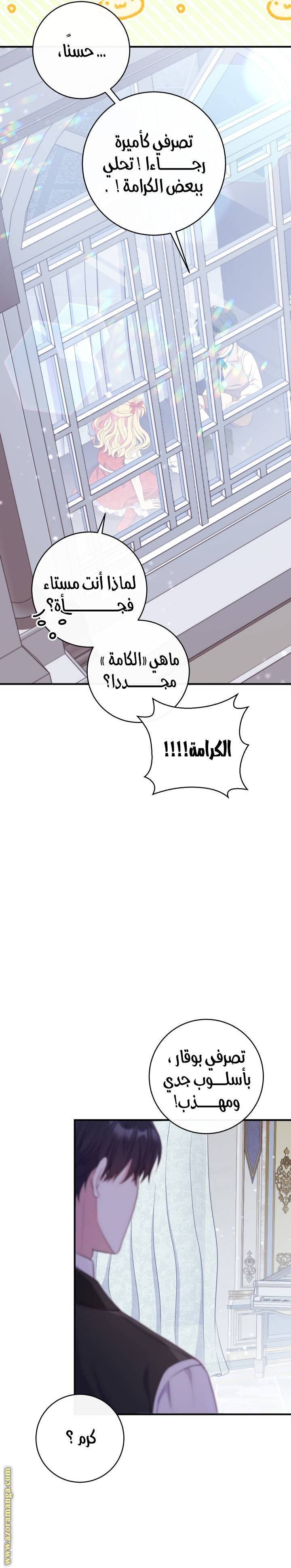 الصفحة 27