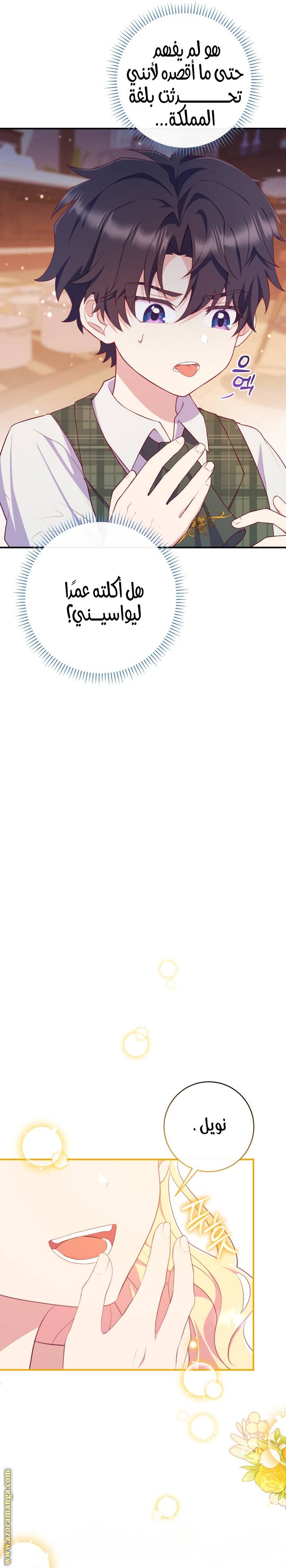 الصفحة 14