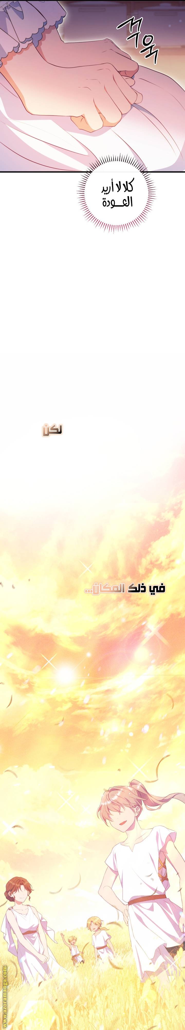 الصفحة 20