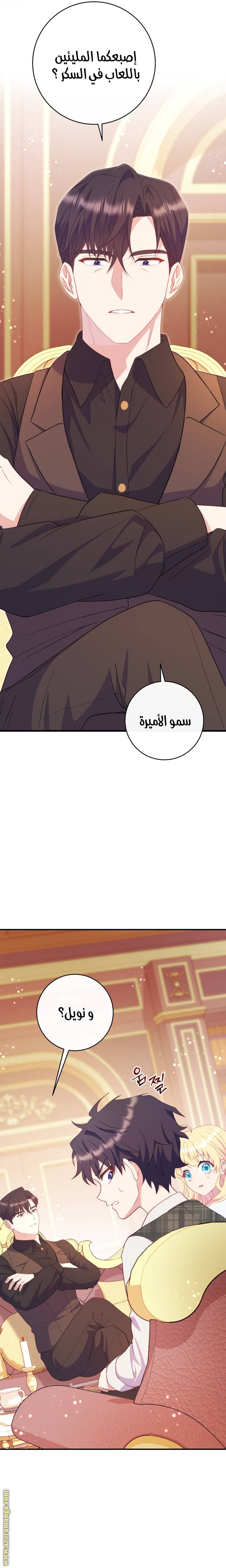 الصفحة 26