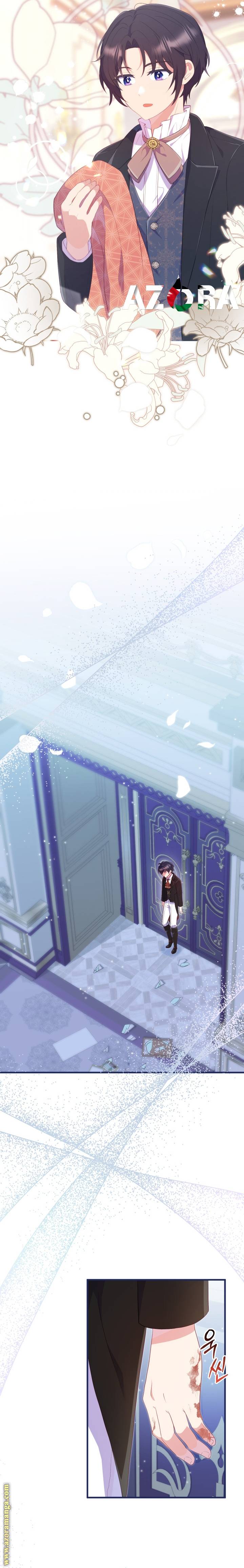 الصفحة 13