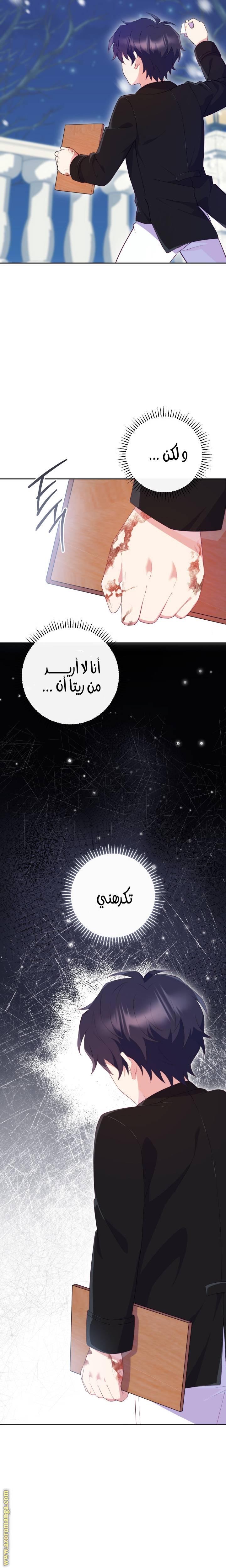الصفحة 17