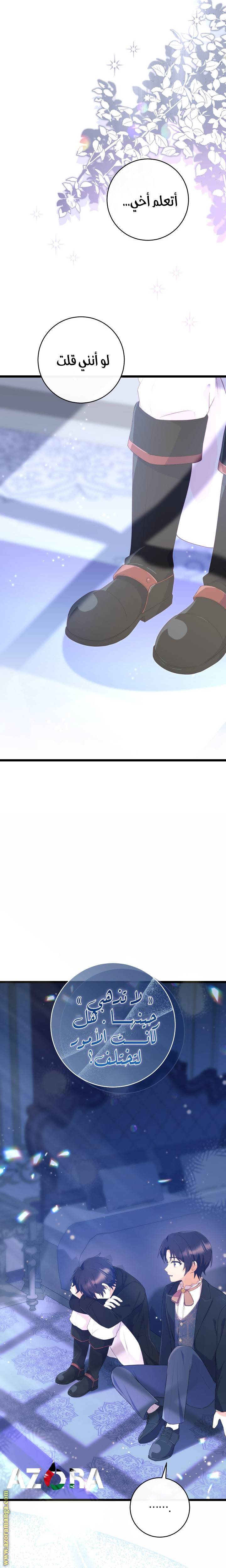 الصفحة 25
