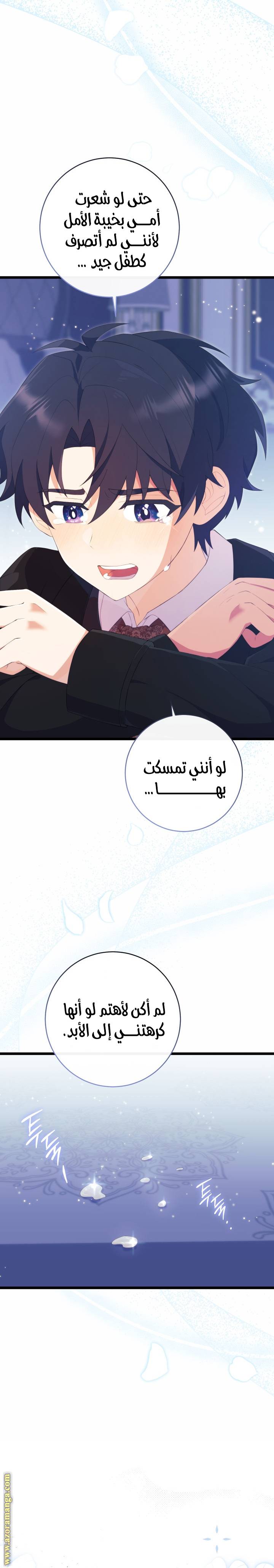 الصفحة 26