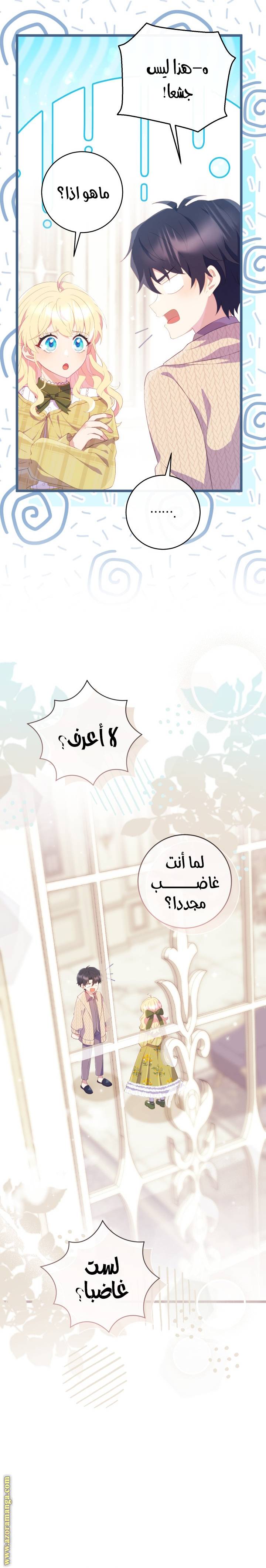 الصفحة 29