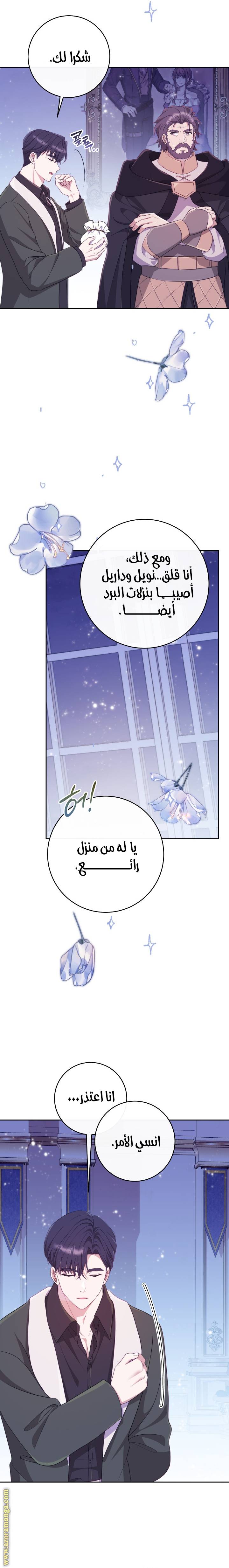 الصفحة 27