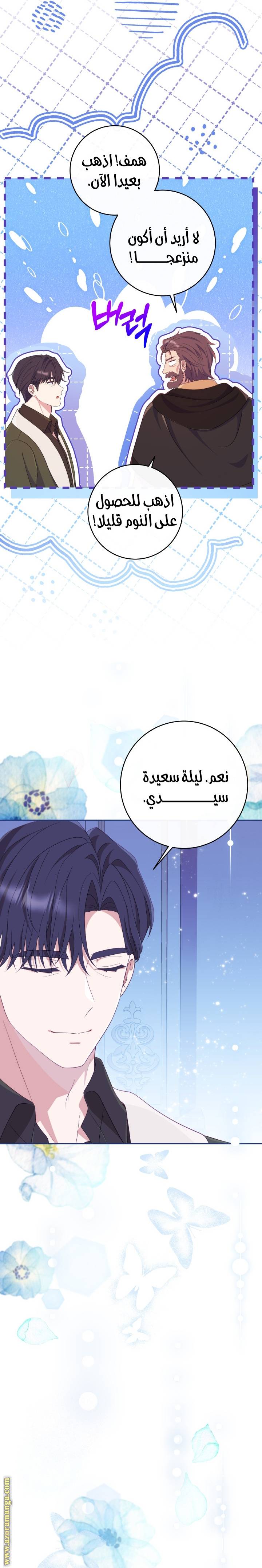 الصفحة 31