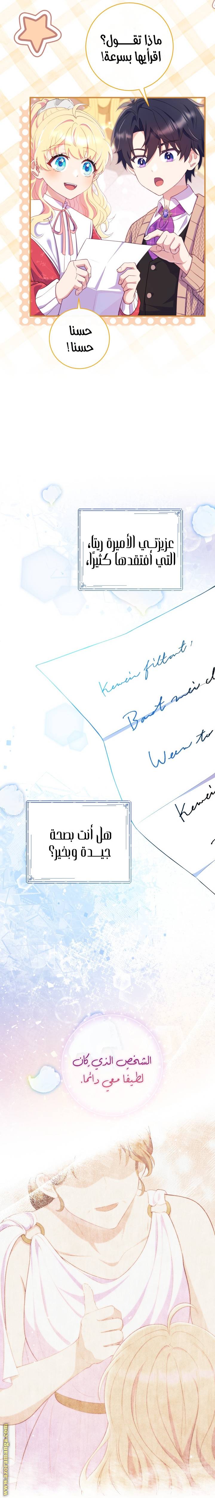 الصفحة 17