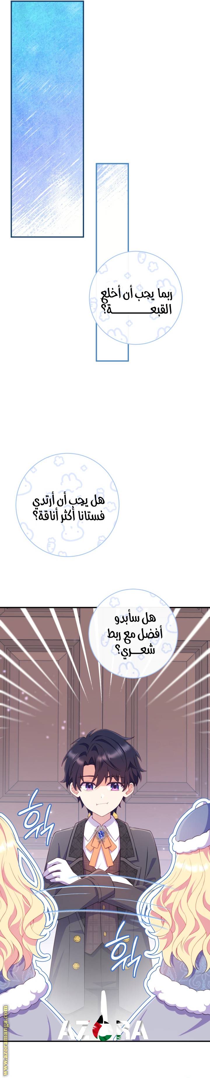 الصفحة 25