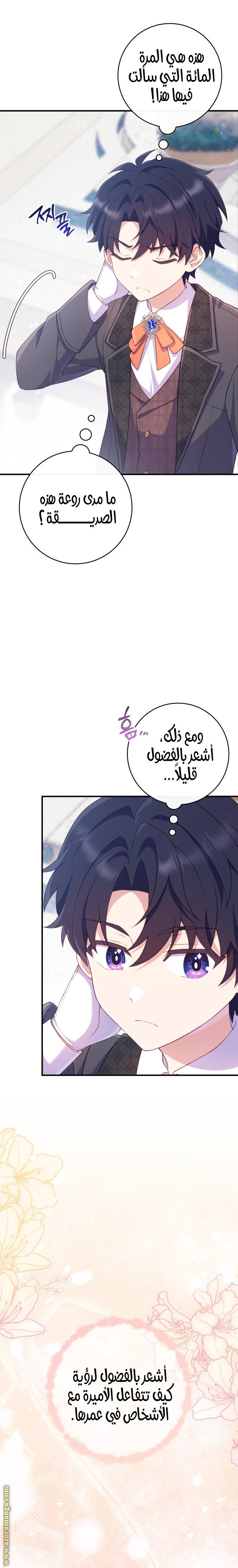 الصفحة 27