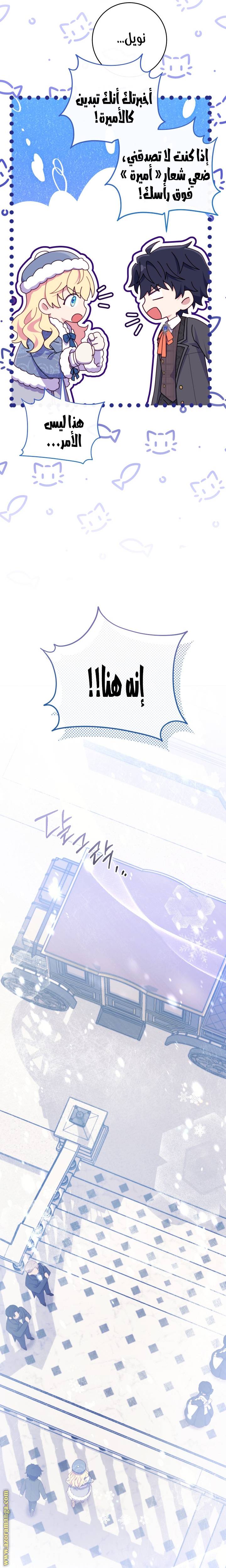 الصفحة 29