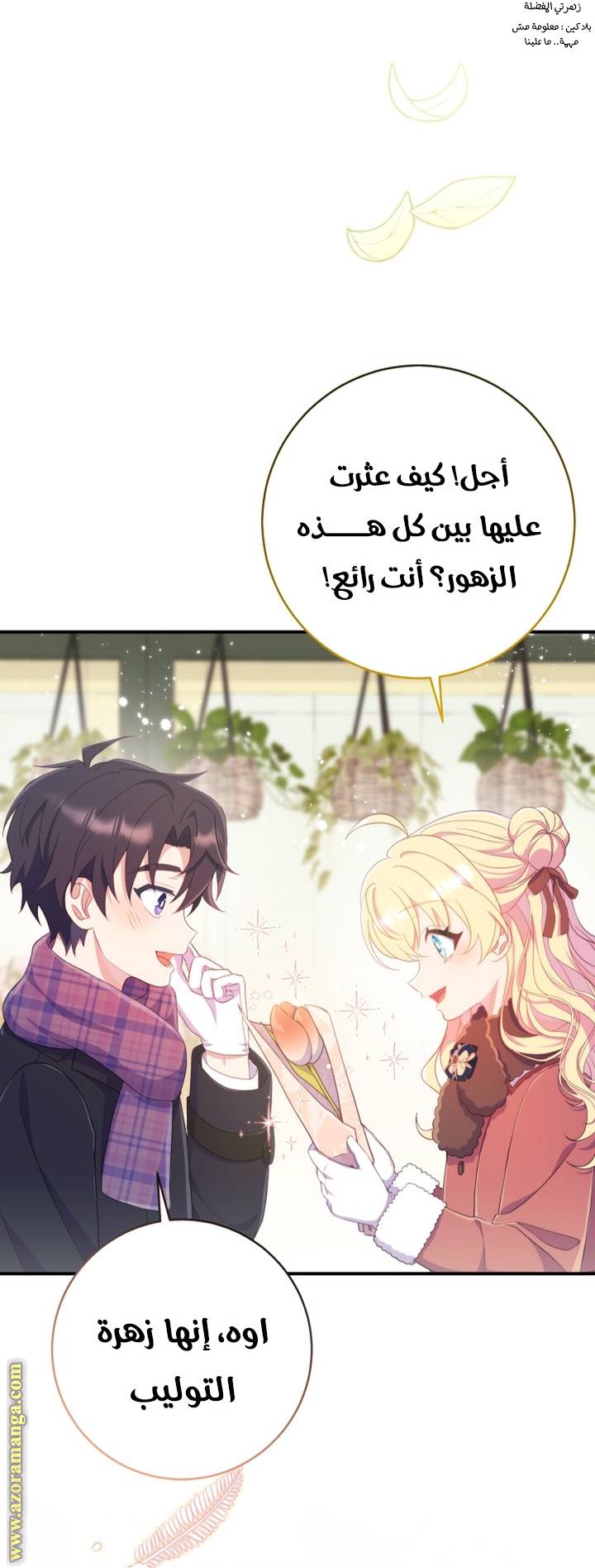 الصفحة 24