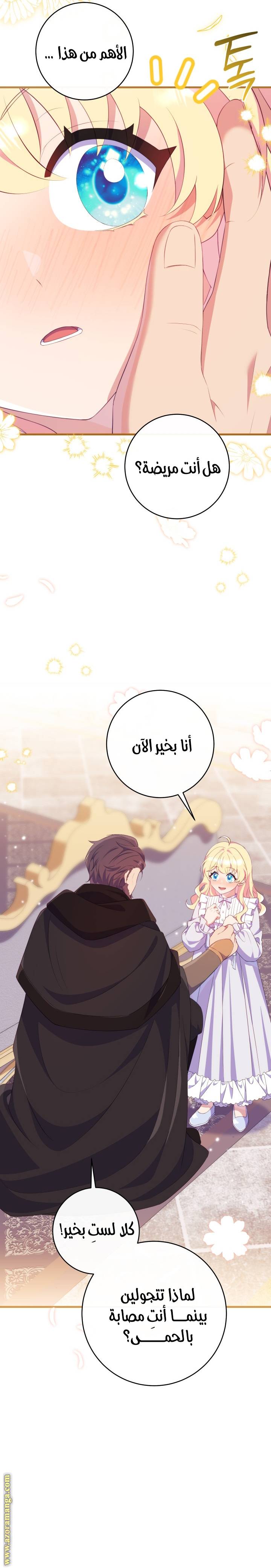الصفحة 26