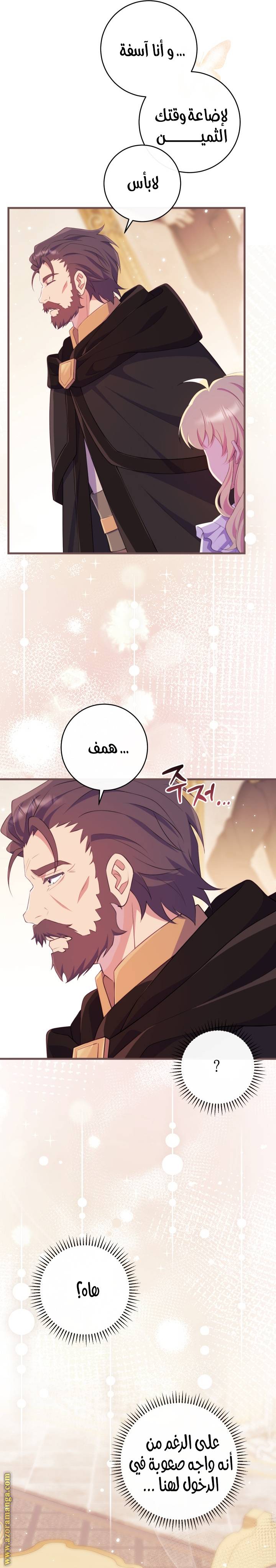 الصفحة 29