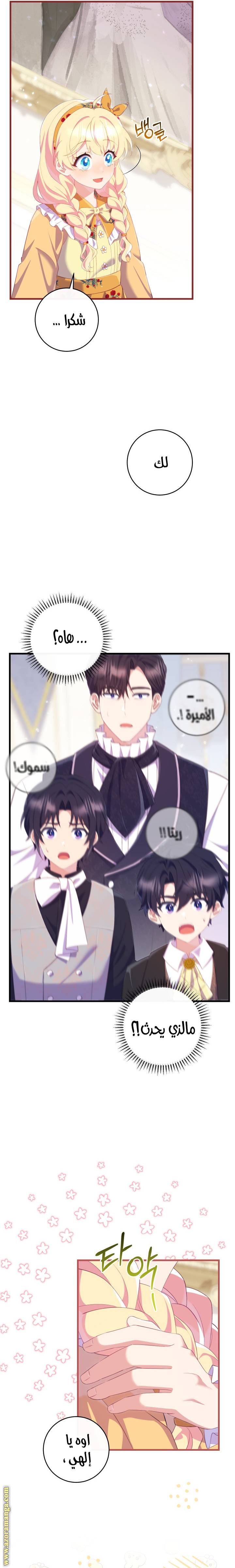 الصفحة 27