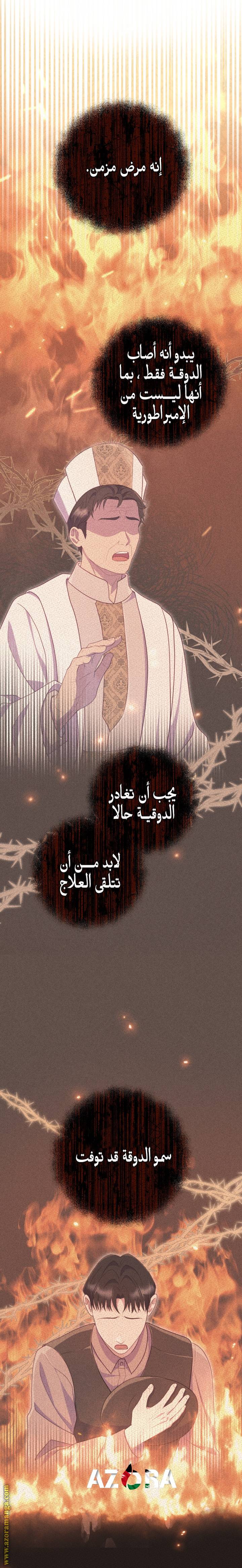 الصفحة 32