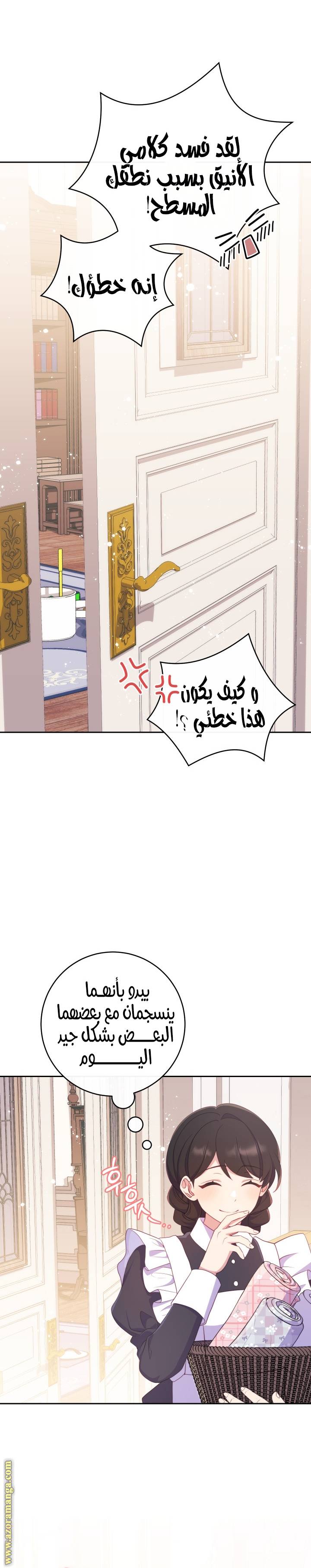 الصفحة 28