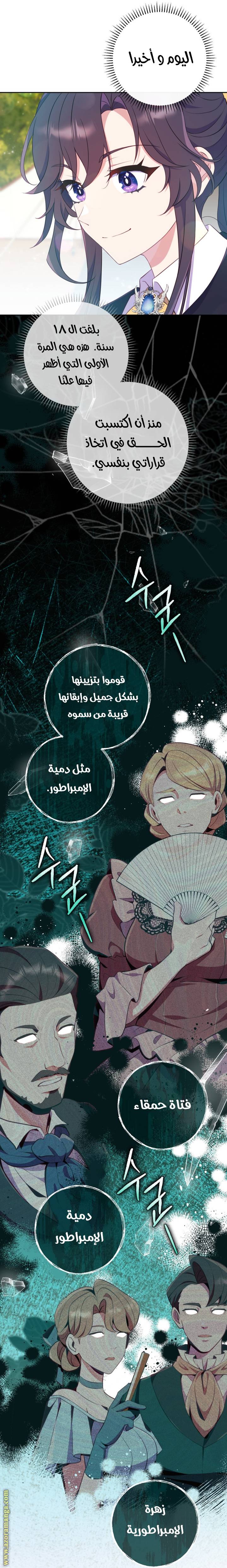 الصفحة 33