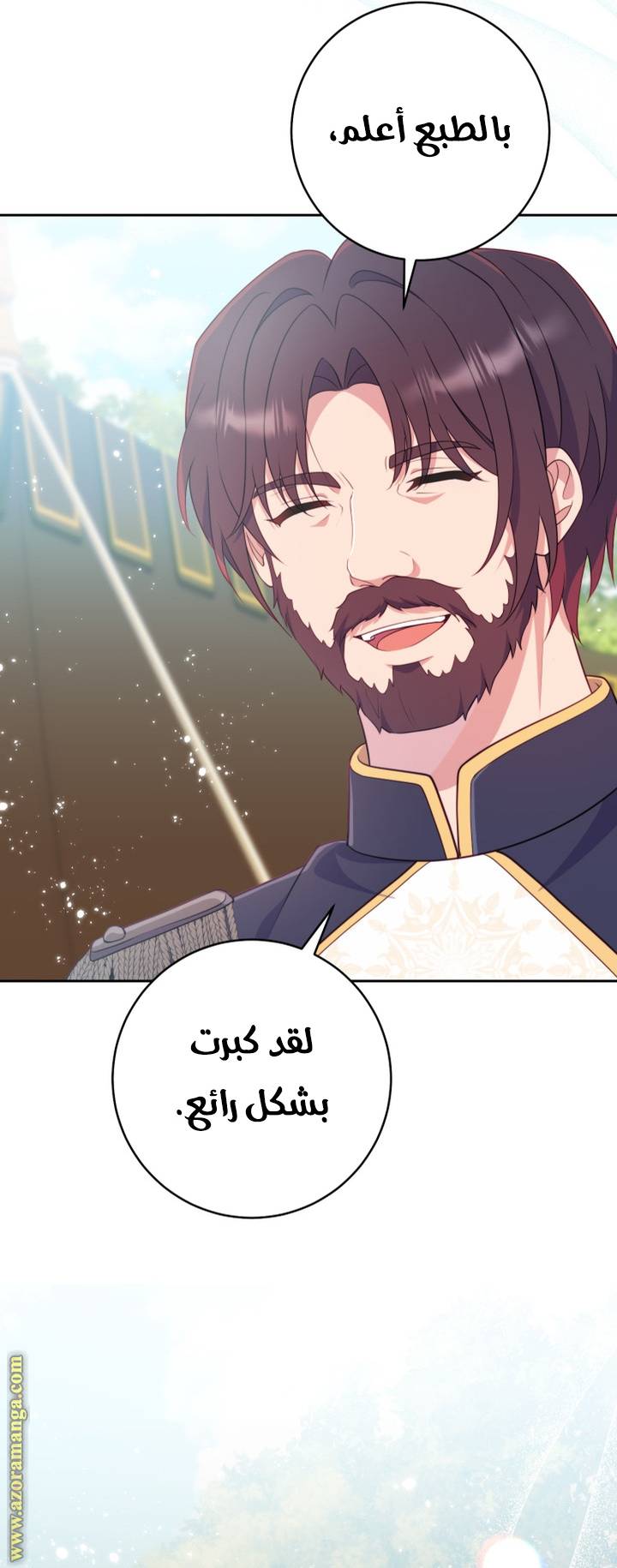 الصفحة 41