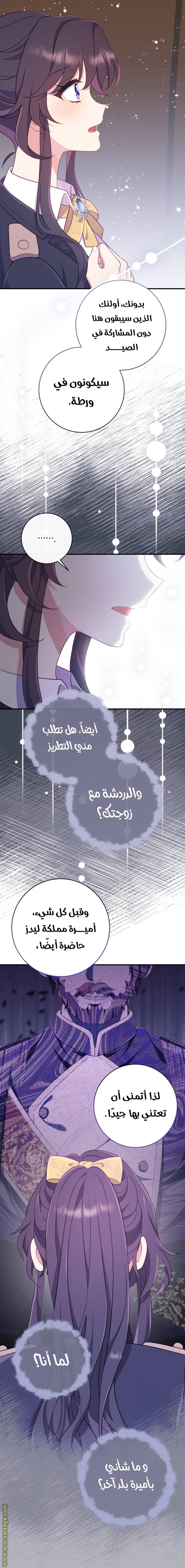الصفحة 46