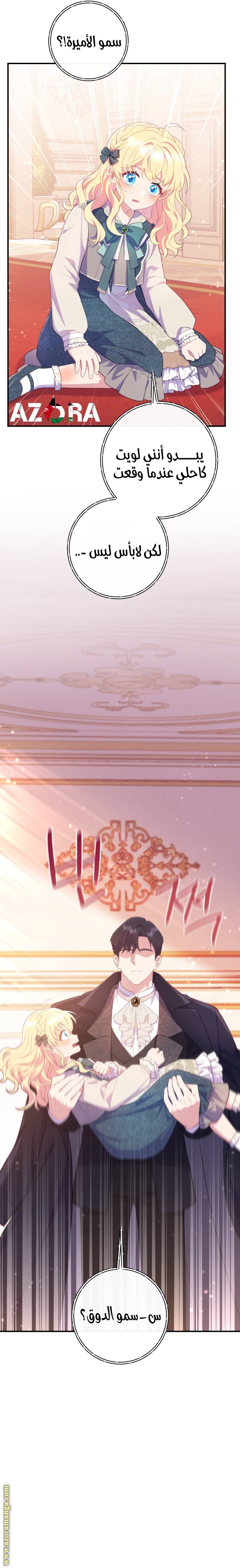 الصفحة 15
