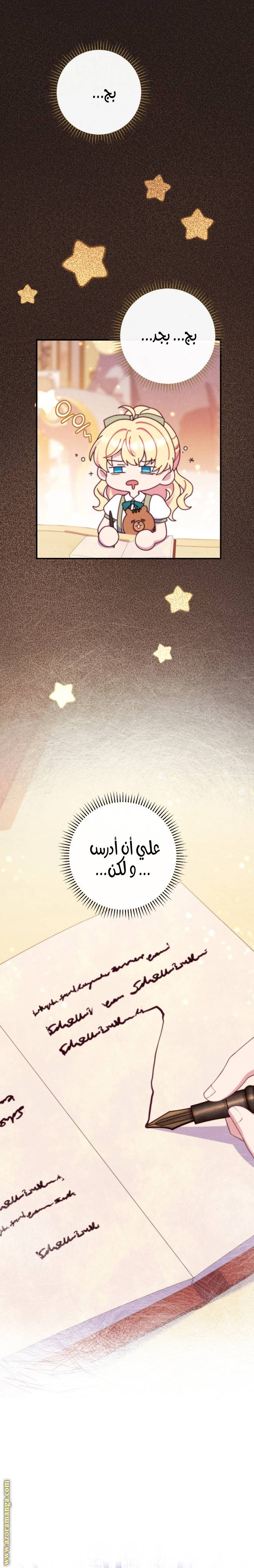 الصفحة 26