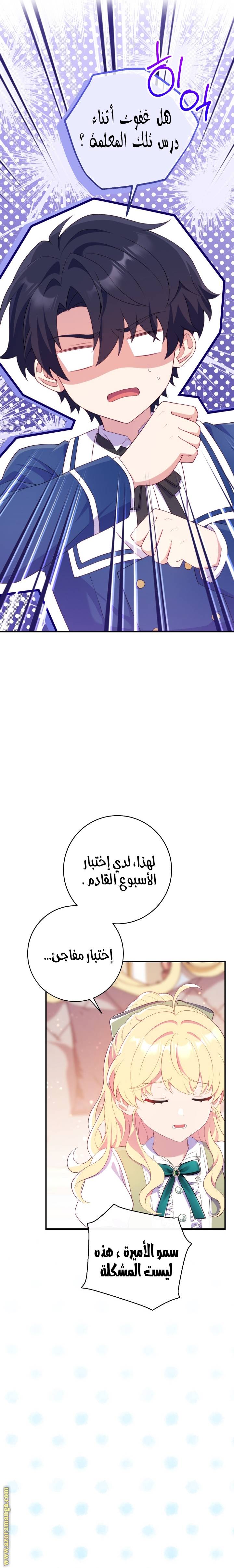 الصفحة 27