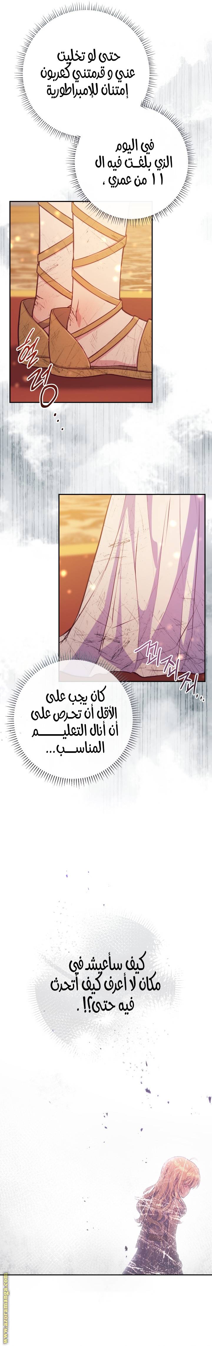 الصفحة 26
