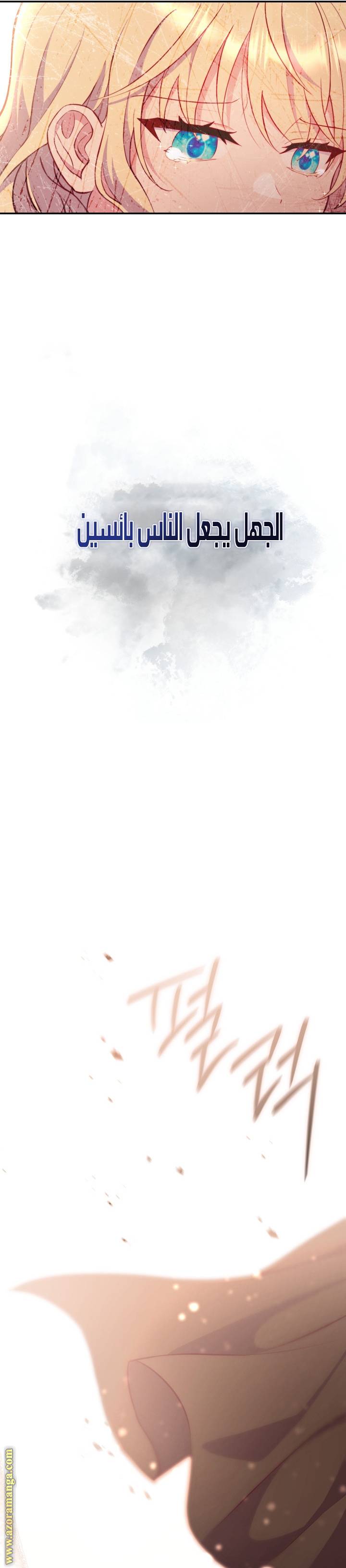 الصفحة 27