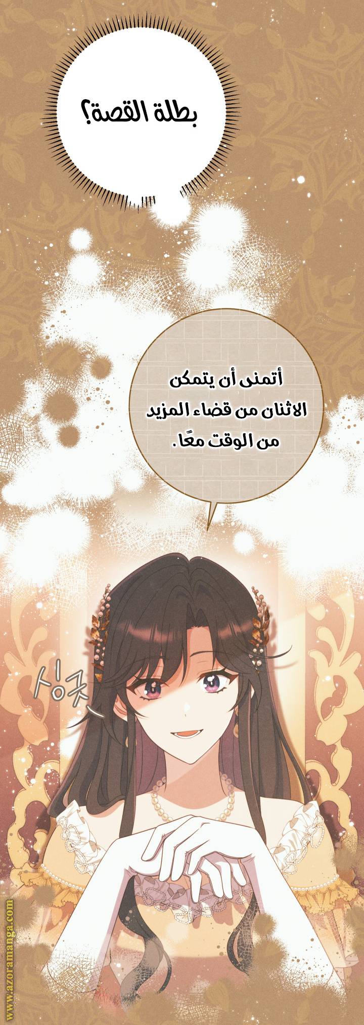 الصفحة 17