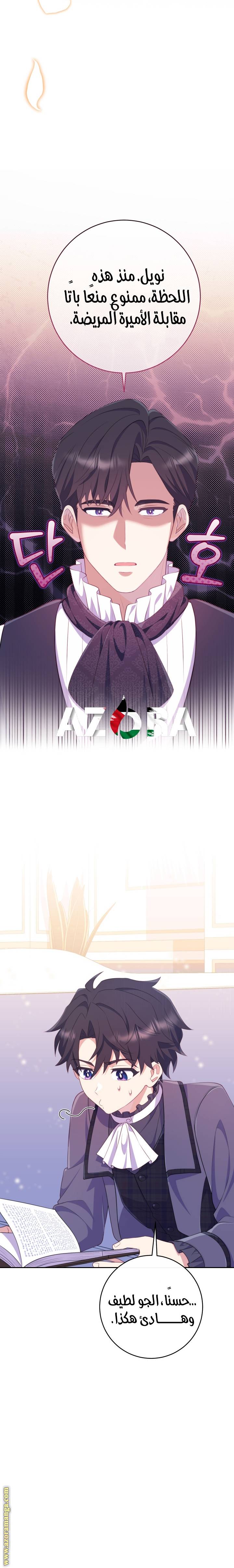 الصفحة 11