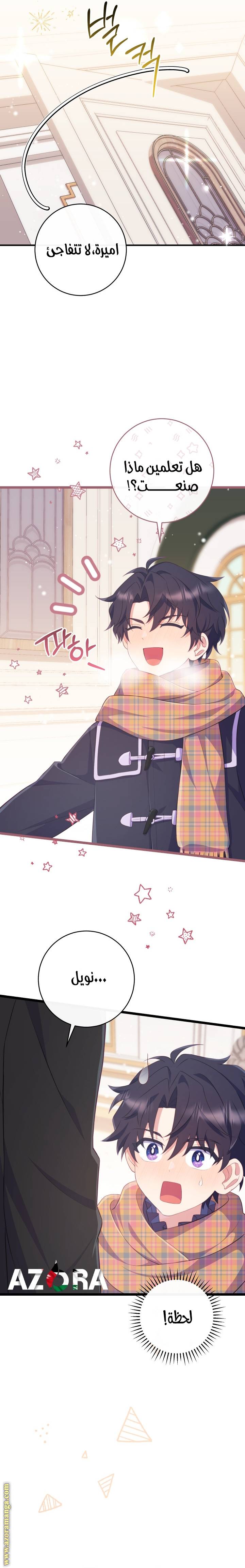 الصفحة 17