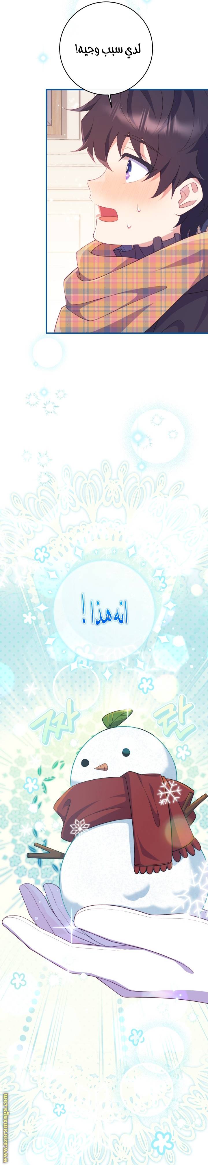الصفحة 19