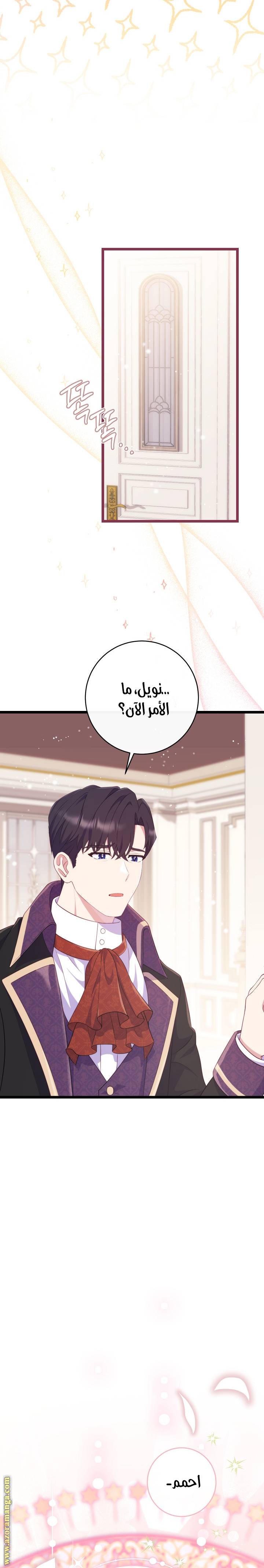 الصفحة 25