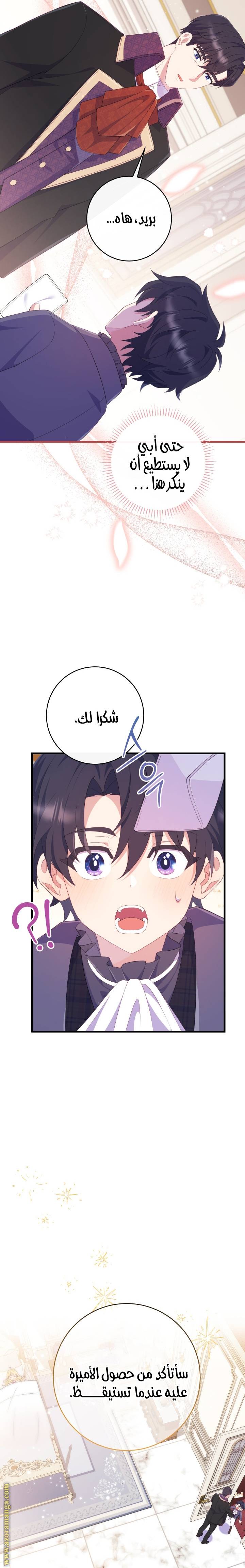 الصفحة 27