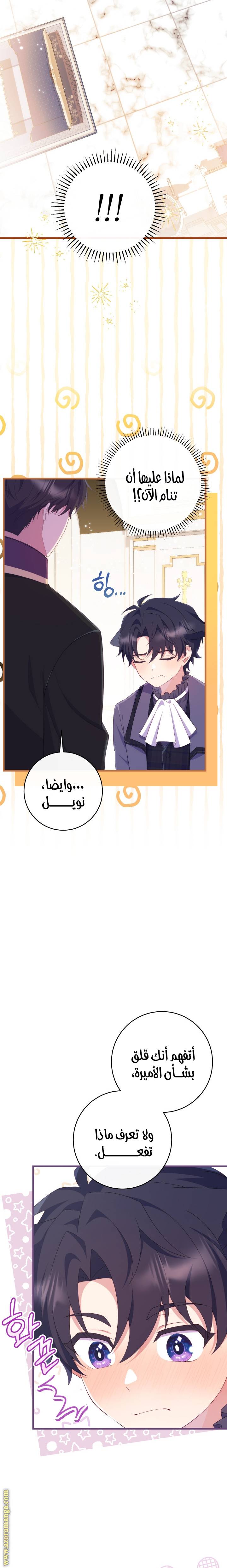 الصفحة 28