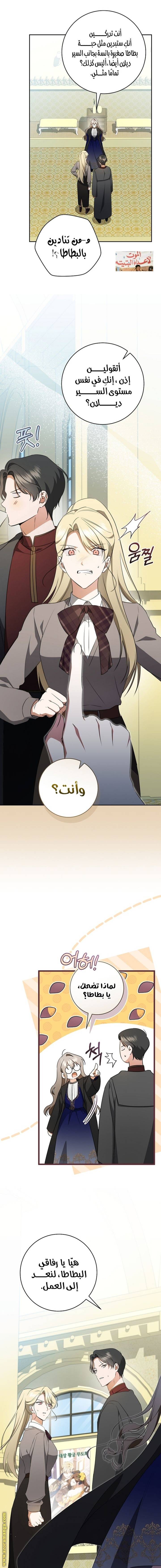 الصفحة 11