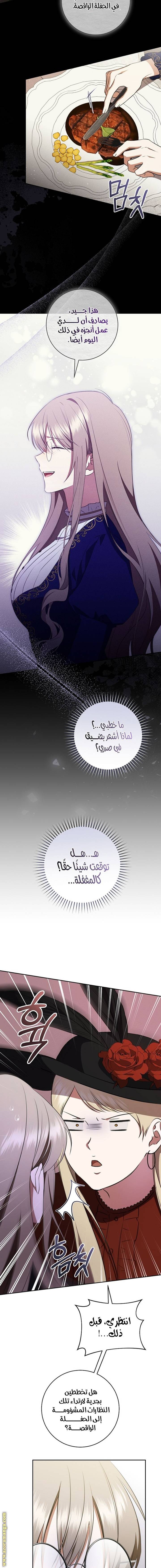 الصفحة 17