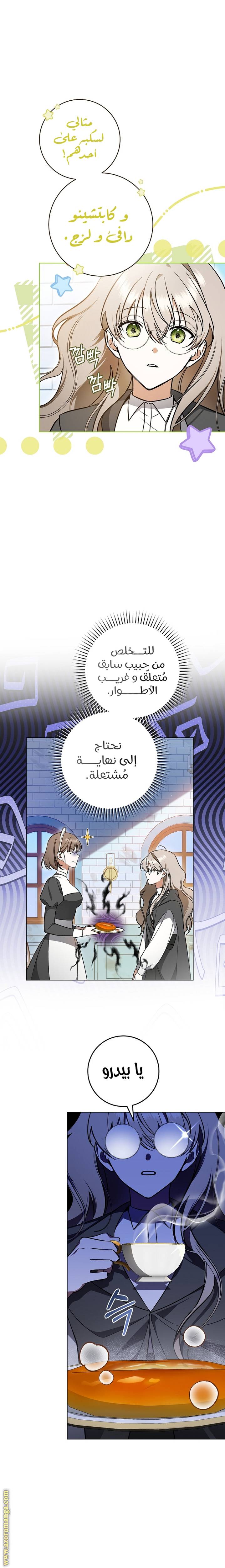 الصفحة 25