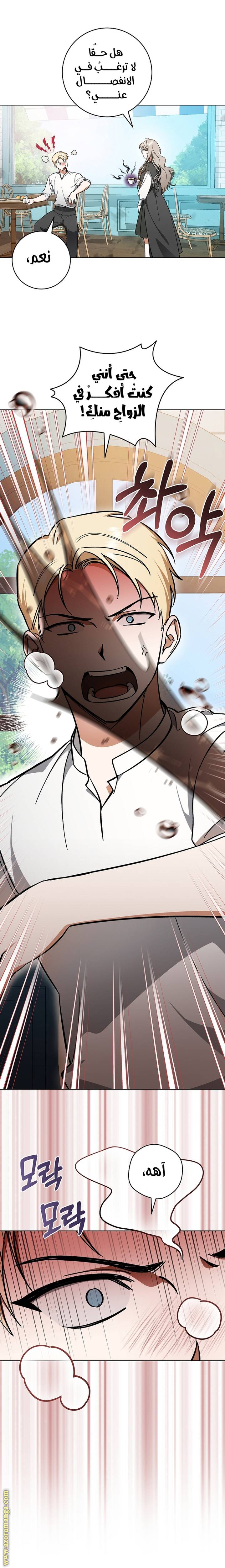 الصفحة 26