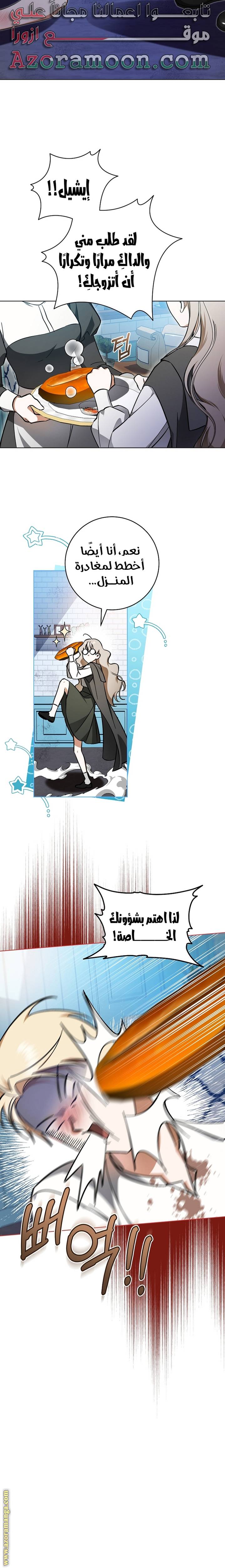 الصفحة 28